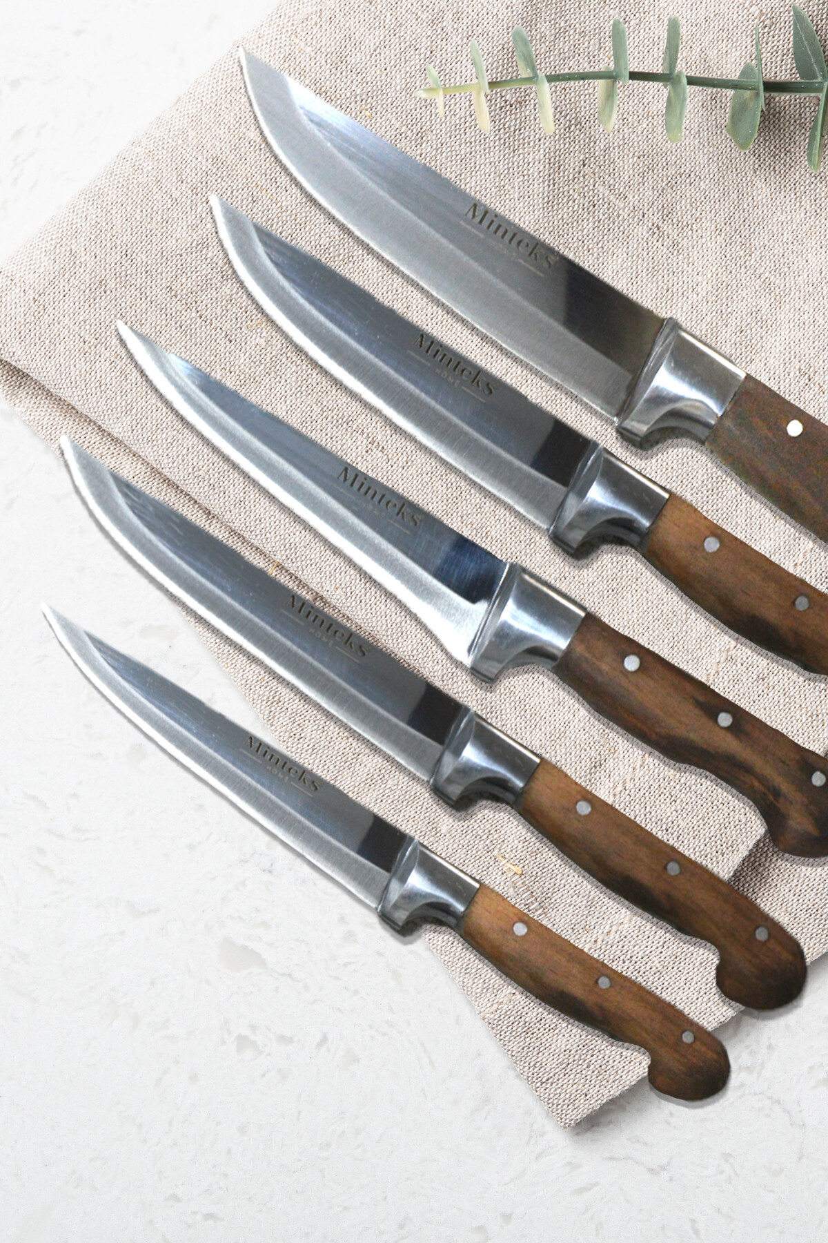 Minteks Çelik Bıçak Seti Ahşap Saplı Profesyonel 5 li Bıçak Seti - 1